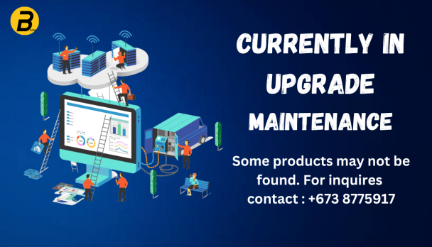 Maintenance